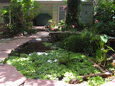 Sculptor Bridgette Mongeon and her pond and studio